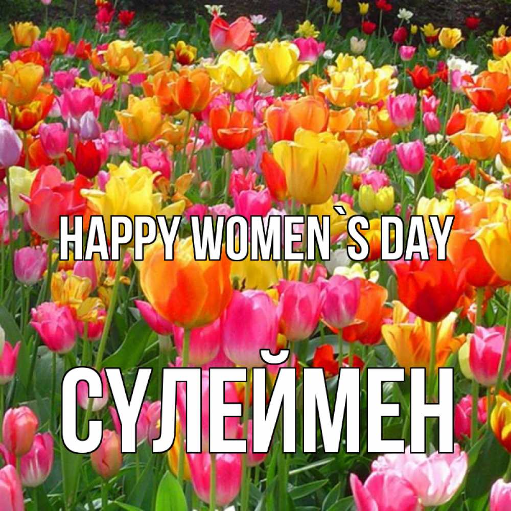 Greetings card с именем, СҮЛЕЙМЕН happy women`s day на международный женский день Greetings with text for free download 